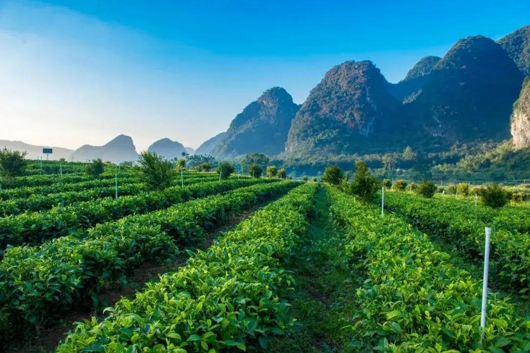 清远英德老虎谷溶洞漂流,广州出发清远三天两夜旅游攻略