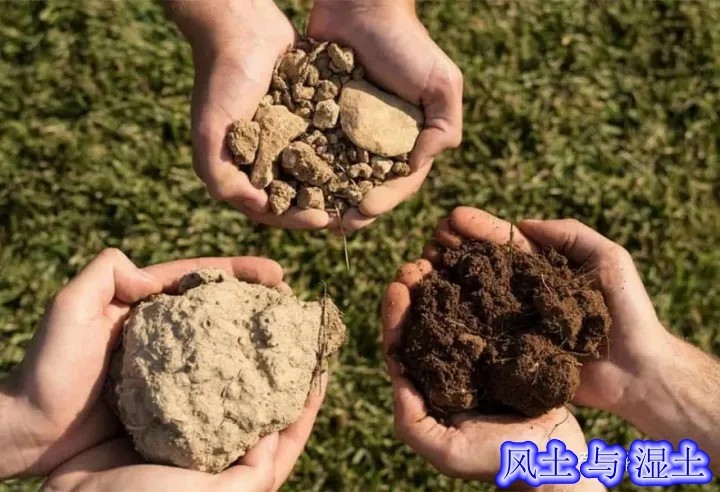 如何判断酒的优和劣,关于酒的三个常识