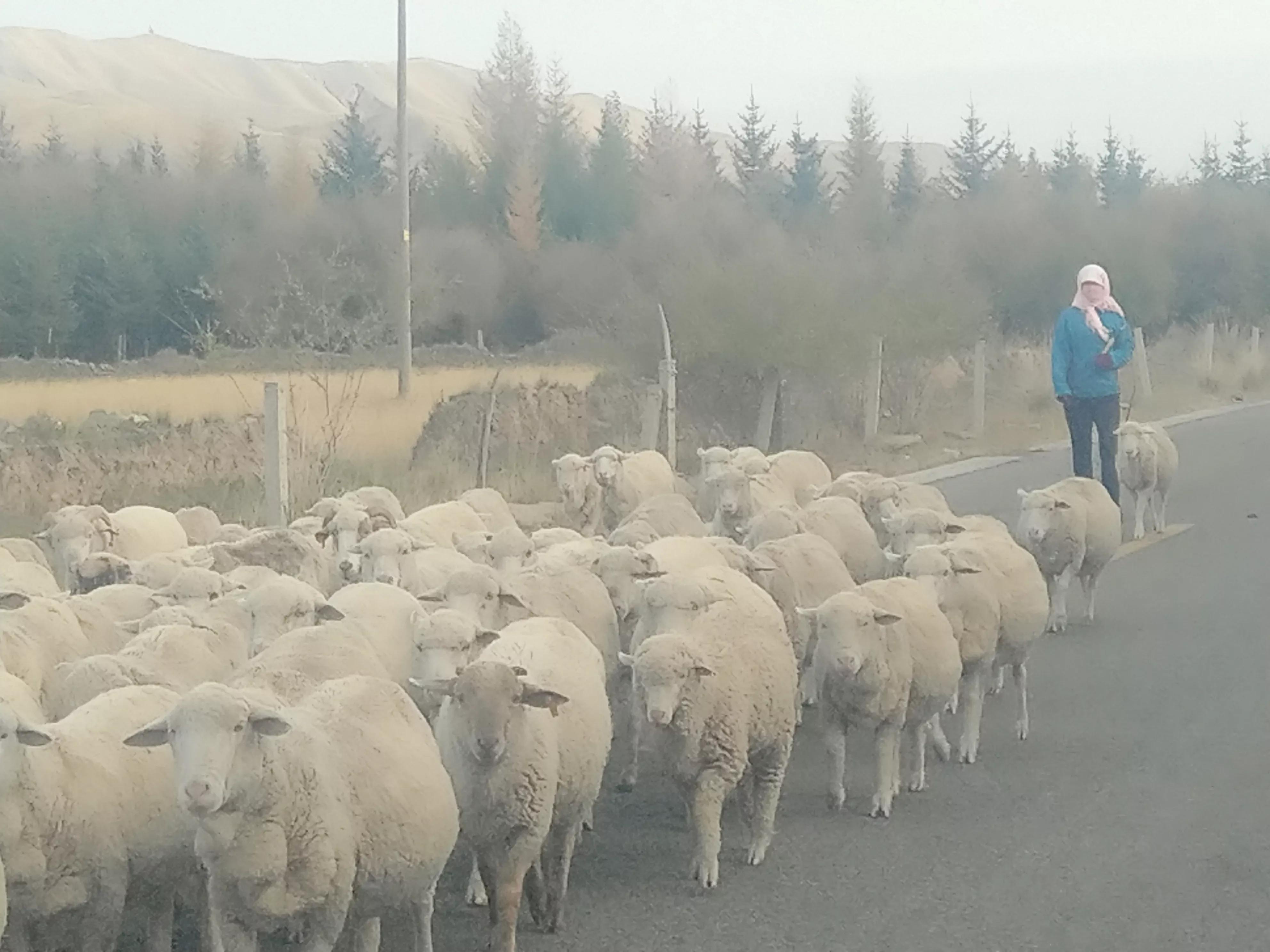 从甘肃翻越祁连山到青海,从肃北到青海沿途风景