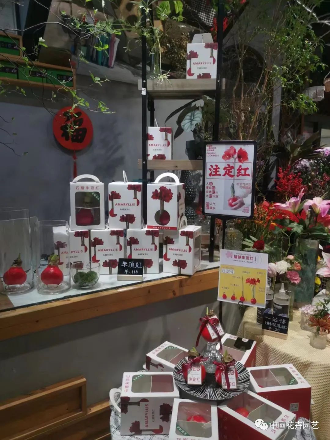 《中国花卉园艺》杂志社“花店资材云论坛”首播|动态