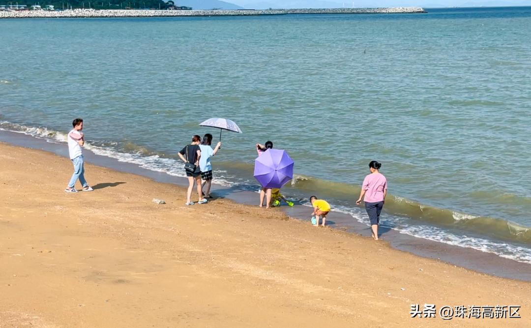 走一起看日出吧歌词,走一起去看日出吧舞蹈