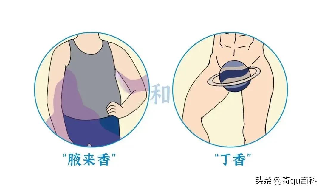 什么叫女人味什么叫男人味,我们常说的五味是什么