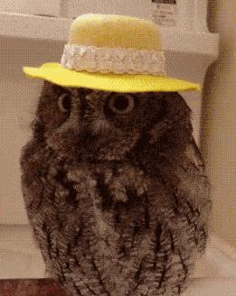 网恋奔现，这不叫“翻车”，应该叫“坠机”！哈哈哈