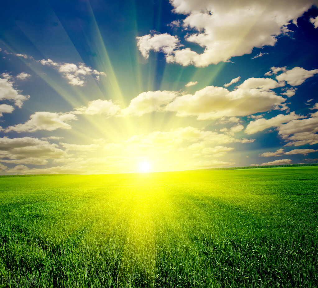 适合尾牙宴发朋友圈唯美文案,简单朋友圈文案短句干净阳光