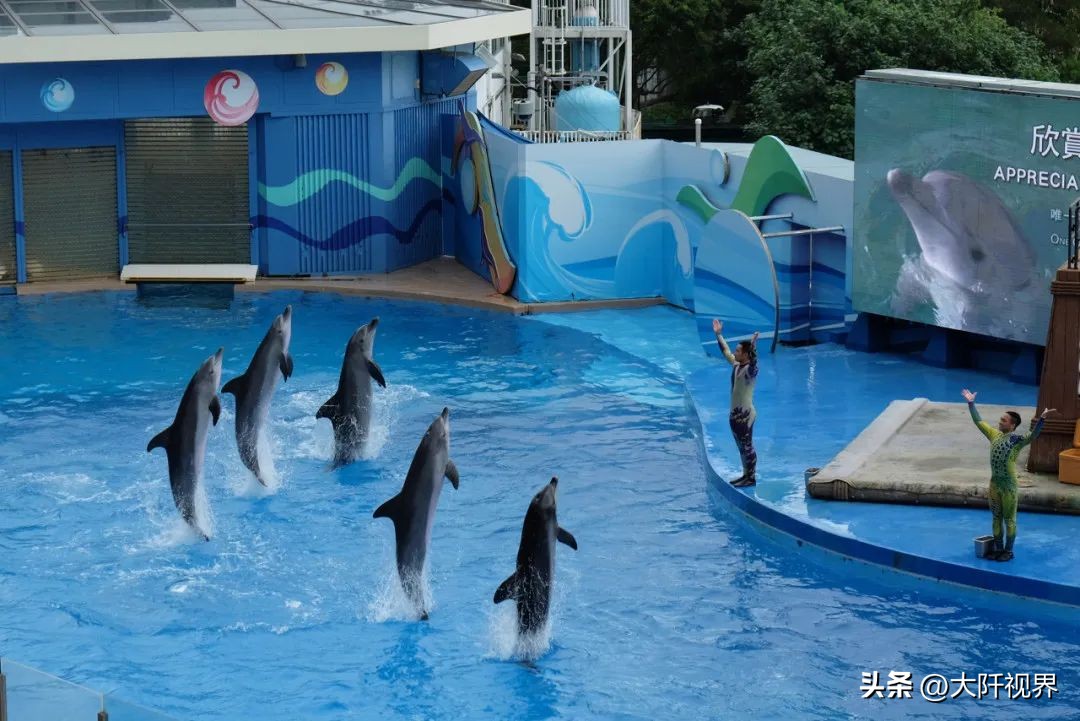 去深圳香港澳门珠海广州,深圳香港澳门自由行攻略