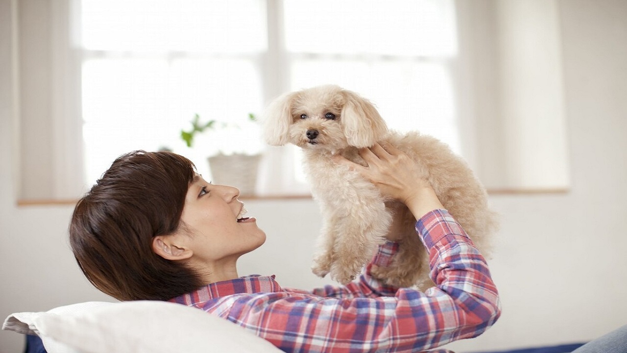 男性大量阴虱和虫卵,男子腹部痒