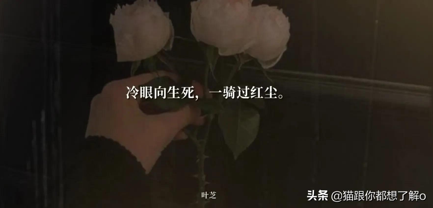 冷眼向生死，一骑过红尘｜文人们的墓志铭