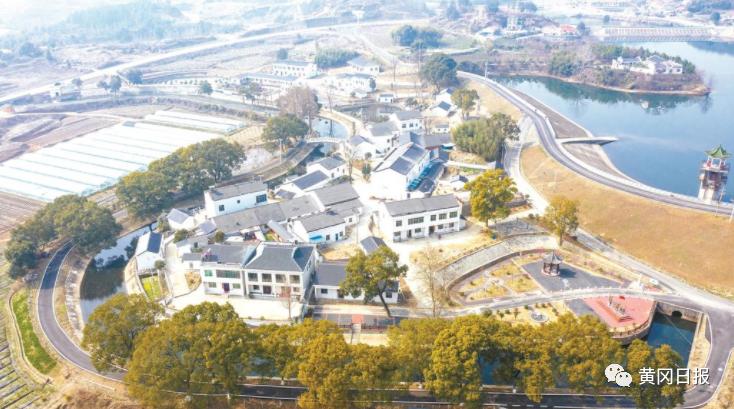 乡村产业如何旺起来？探寻团风县牛车河乡村振兴示范区产业兴旺之道