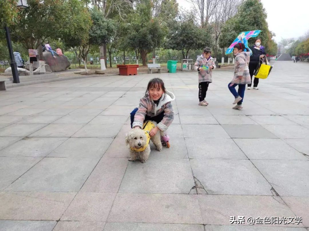 我爱秋天二年级写话,小学生二年级优秀写话