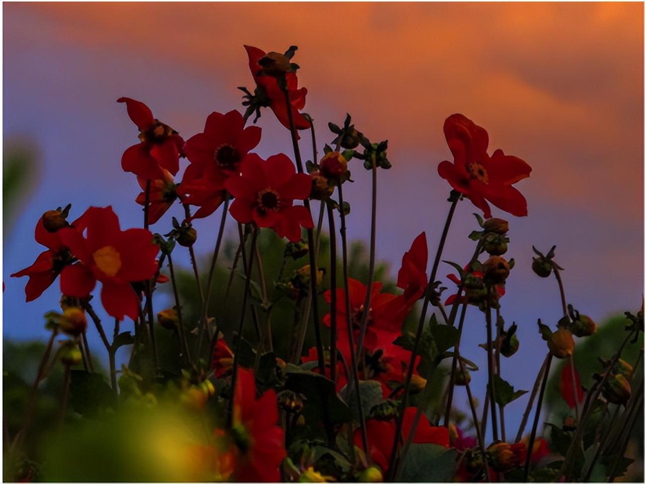 一言不合就分手的5个星座,一言不合就分手的五大星座