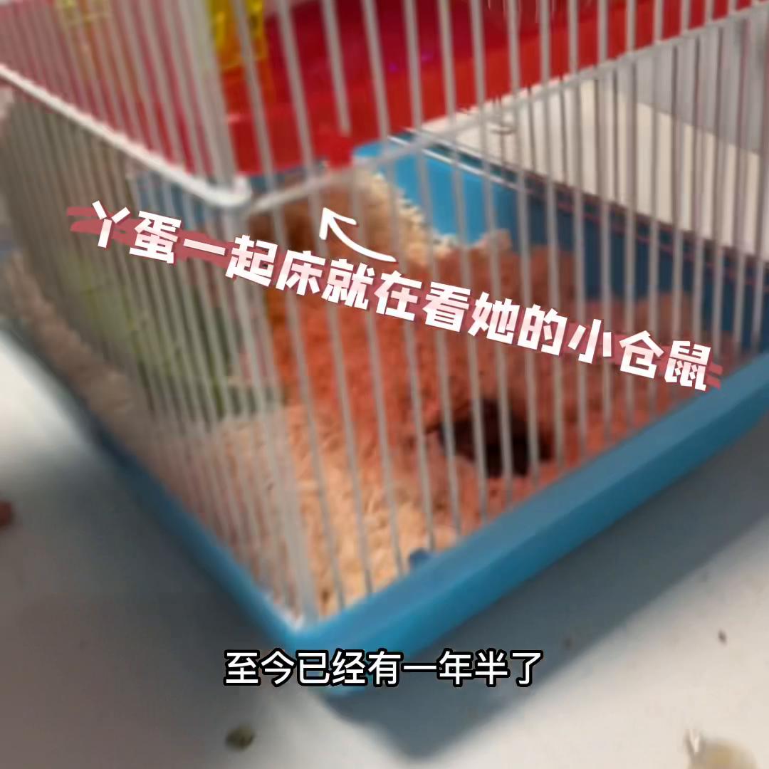 男人对我来说是没用的永远记住不要为了得到很好的生活...