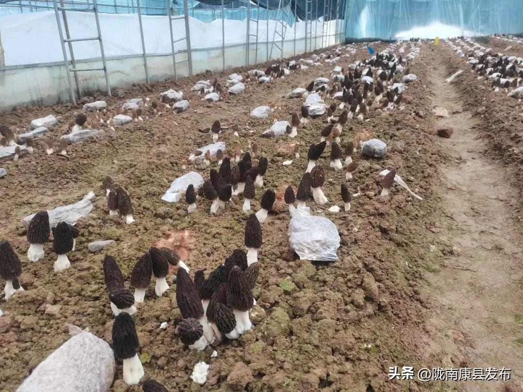 康保县五一哪里好玩,五一康县旅游景点大全