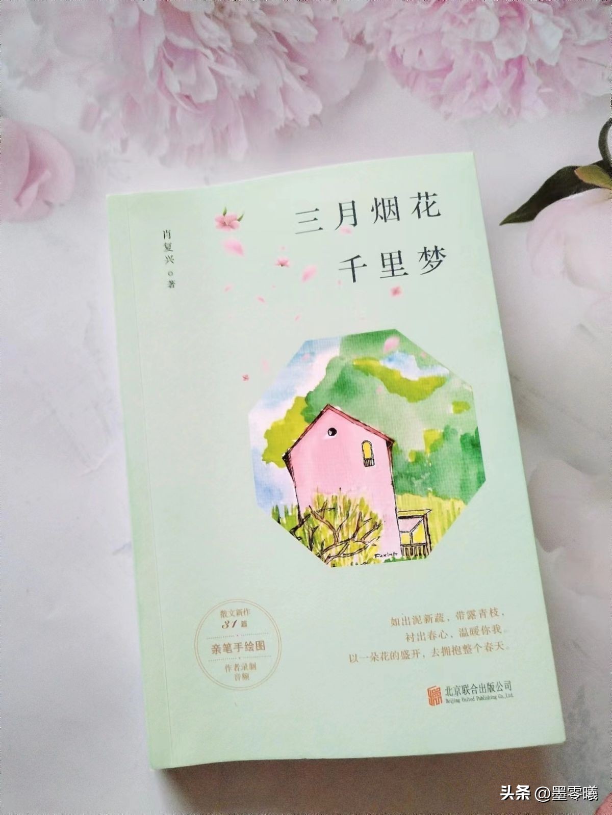 一朵花的盛开需要经历四季的流转,一朵花绽放整个春天