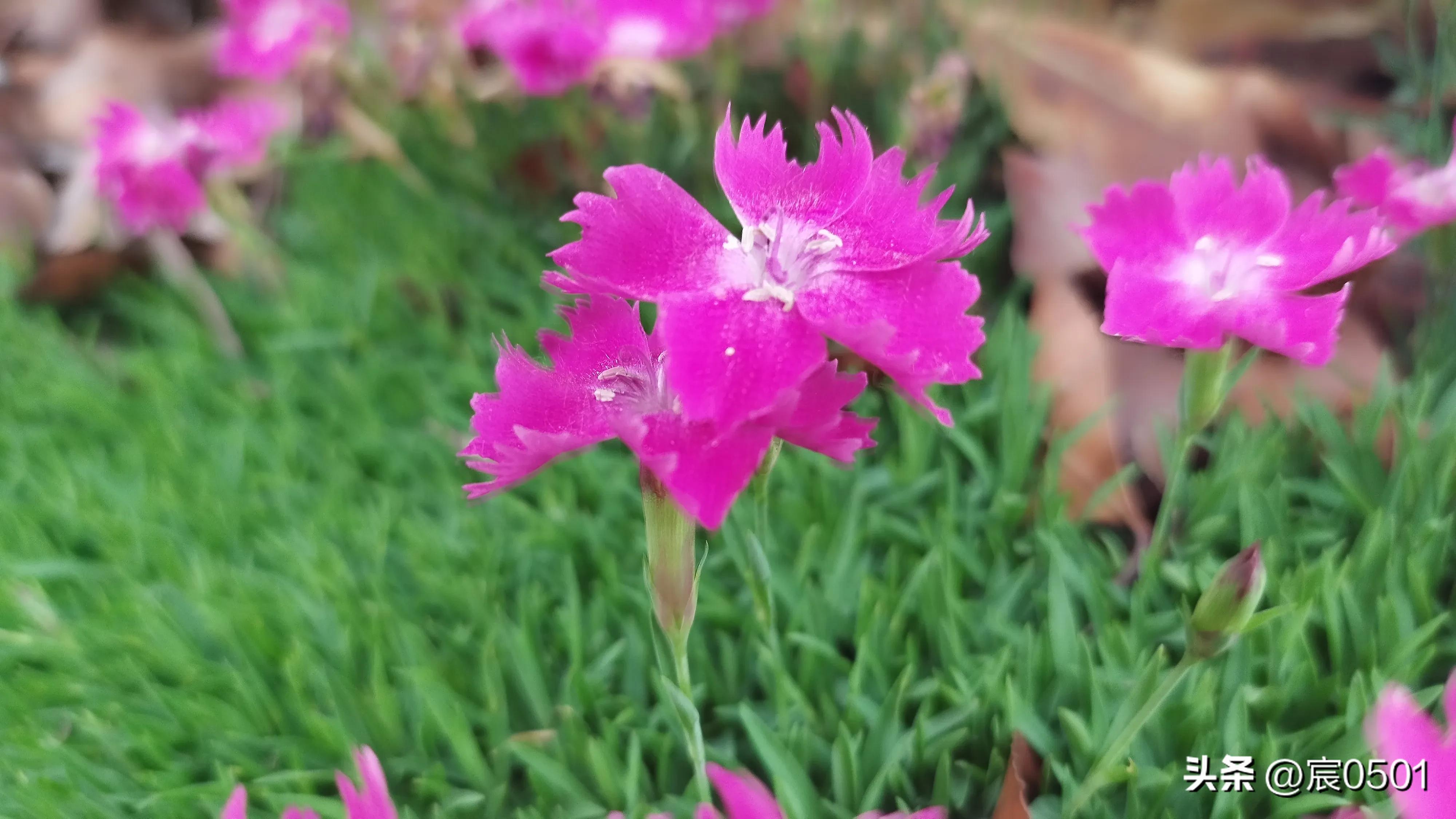 他月挣3600，给儿子还房贷2400，儿媳：孩子上兴趣班每月1200