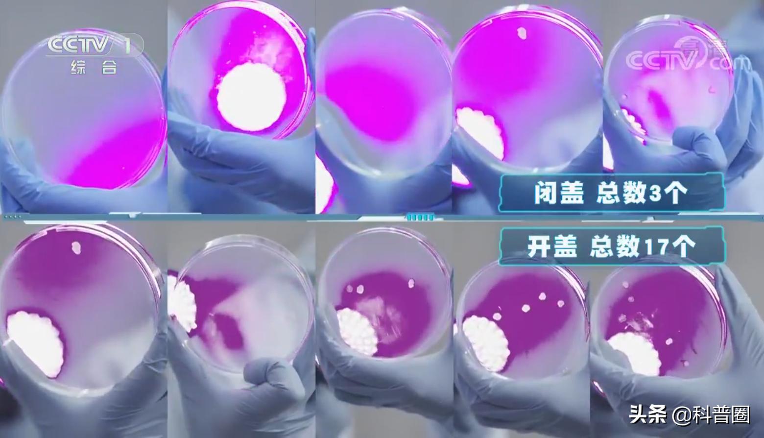 冲马桶时要不要盖盖子央视辟谣,冲马桶盖盖子和不盖盖子对比