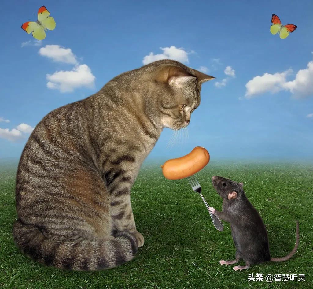 我的成长日记韩剧,我的成长日记全集