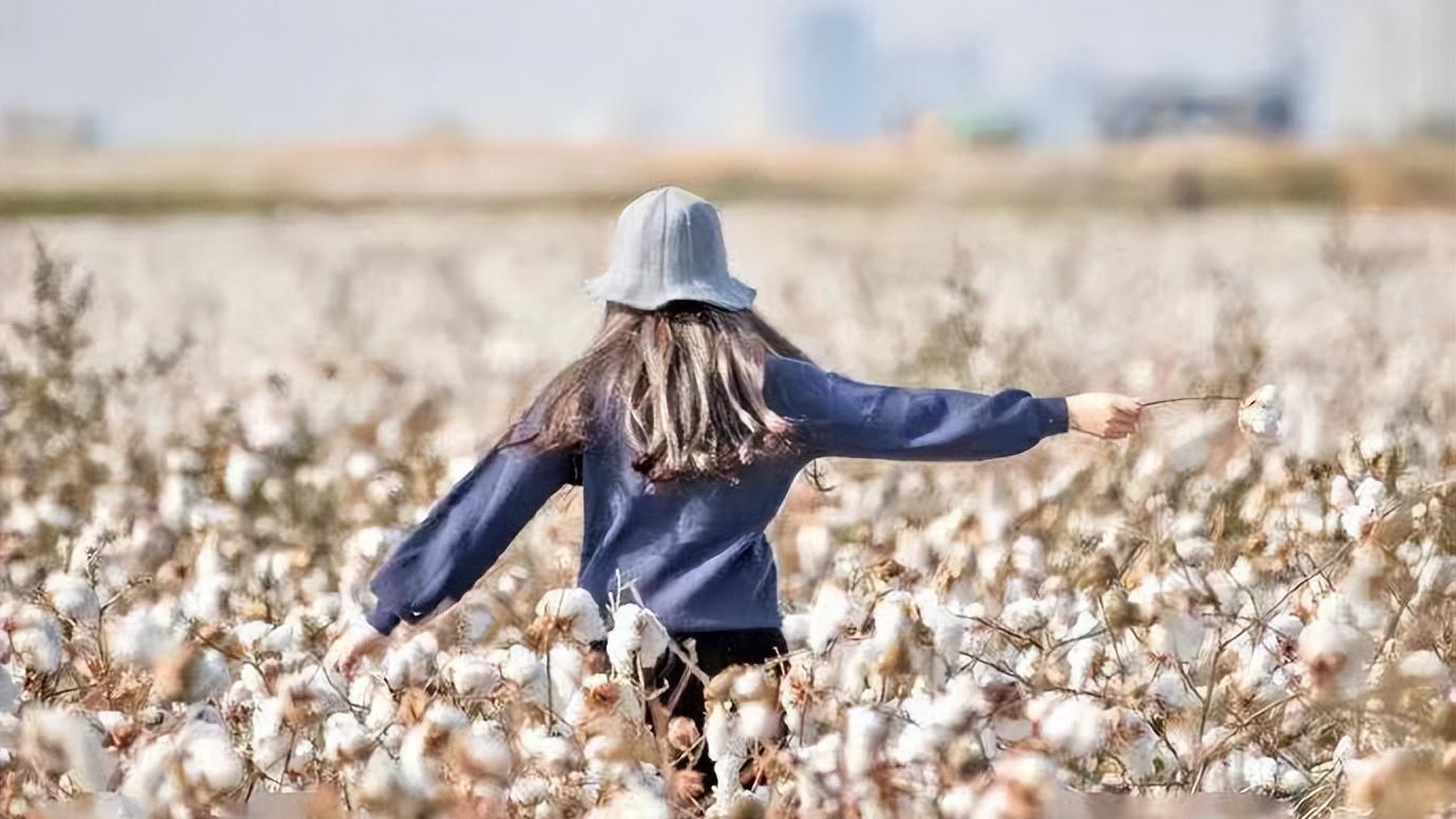 海龙的皮帽子,郭德纲经典相声海龙的帽子