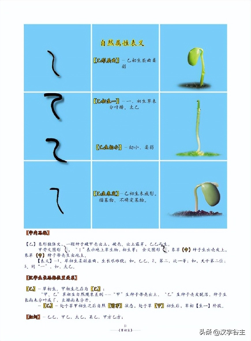 姹夊瓧妞嶇墿,鑽夋湪姹夊瓧