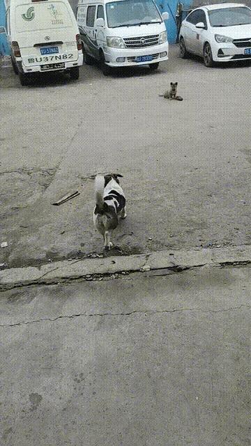 街头魔术大师秀操作，手法实在是太厉害了，找不出任何的破绽