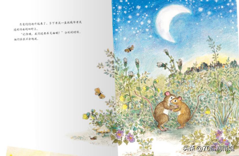 绘本城里老鼠和乡下老鼠英语提纲,城市老鼠和乡下老鼠绘本