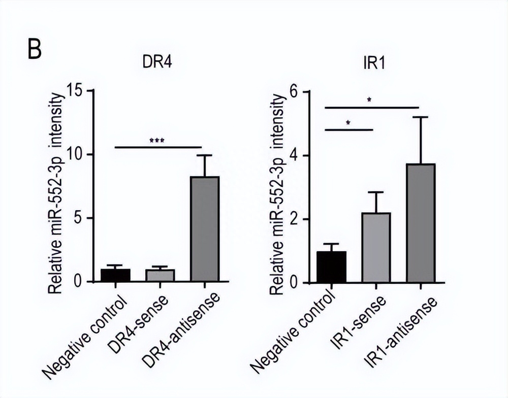 如何使用EOSM290机器，在不同加工条件中，制造出极端形状的薄壁