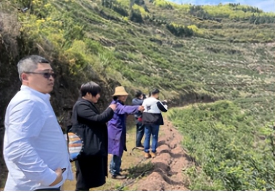 助力乡村振兴引领返乡创业,创新创业扶贫助农