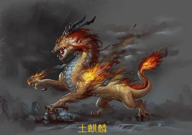 麒麟有几种代表象征,麒麟有几种芯片