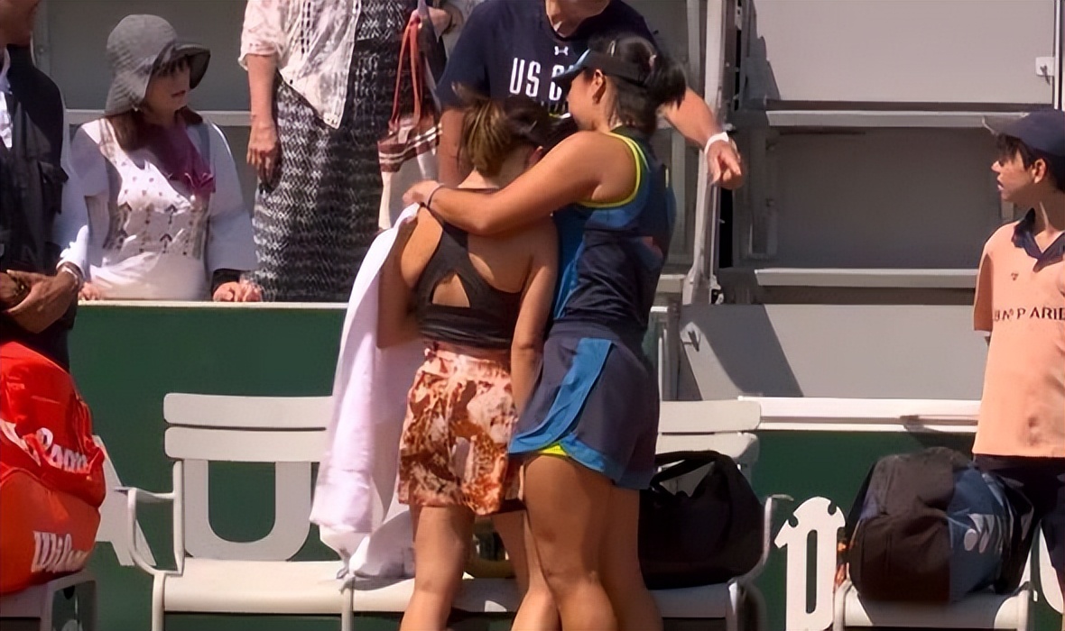 法网最新案件消息,法网的真实事件