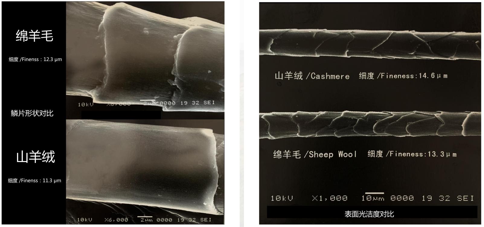 羊绒围巾和羊毛围巾哪个质感好,正宗品牌羊绒围巾好一点的