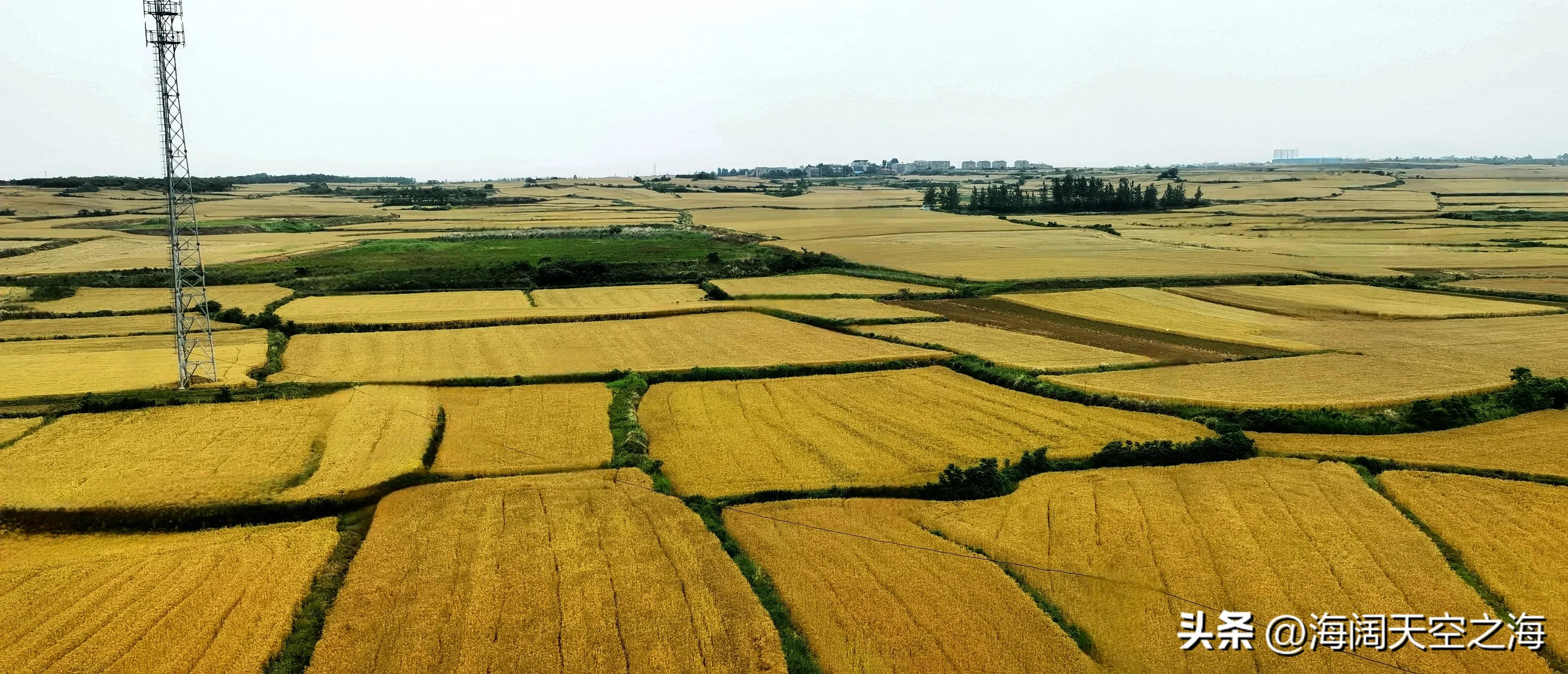 风吹麦浪完整版,风吹麦浪