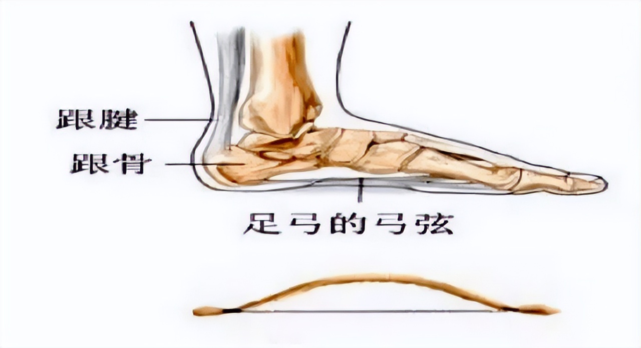 什么叫做骨刺骨刺都长在什么地方,什么是骨刺能根治吗
