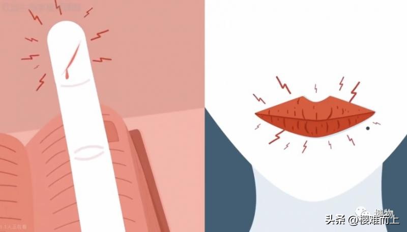 脚趾头撞一下疼怎么回事,为什么小脚趾撞到那么疼