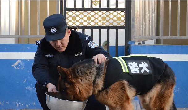 中国刑警学院警犬技术分数线,刑警学院警犬技术专业优秀毕业生