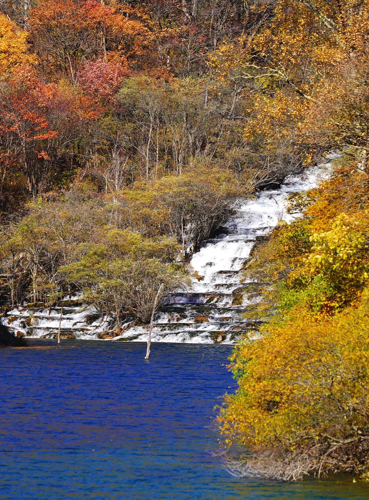 一天来回！别名“小九寨”的油画秋色、高山草甸，一站式游玩到底