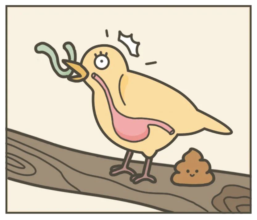 吃完就拉屎是直肠癌吗,直肠有问题会吃完饭就想大便吗