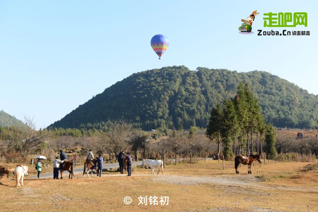 年度最佳22℃暖冬小城!全国唯一半城银杏,半城温泉!现在来刚好