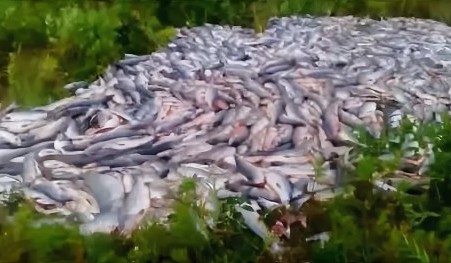 一个勘察加俄吹的实话实说