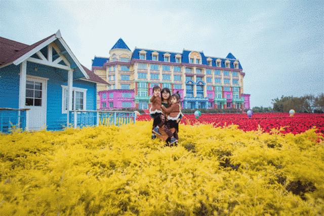 广州百万葵园住宿,广州百万葵园度假区