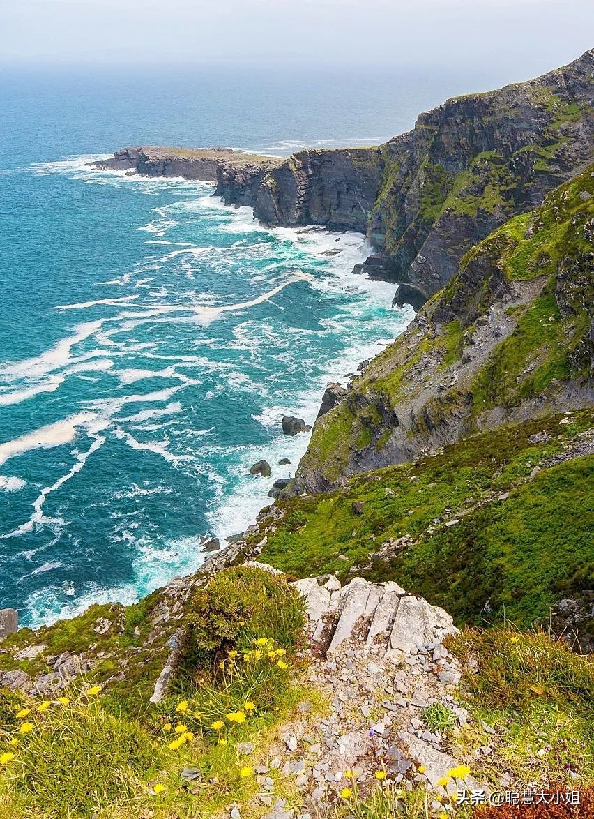 最绿的国家,最绿国家