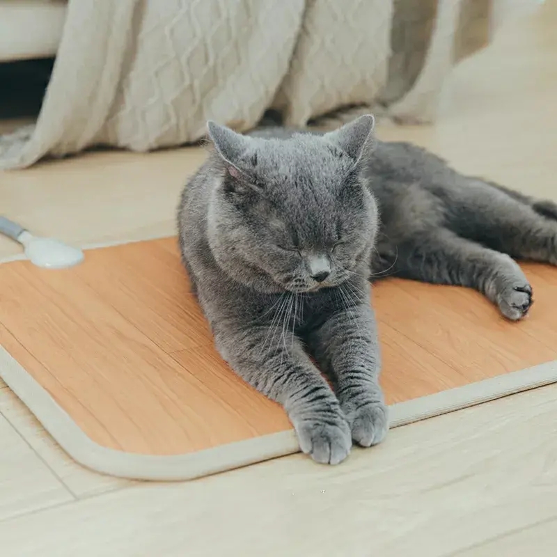 窗户关紧了就有呼呼的风声怎么办,冬天窗户漏风怎么最省钱保暖