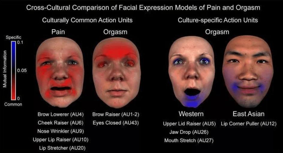 理性评价宝马mini冰淇淋事件,外国对宝马mini冰淇淋事件评论