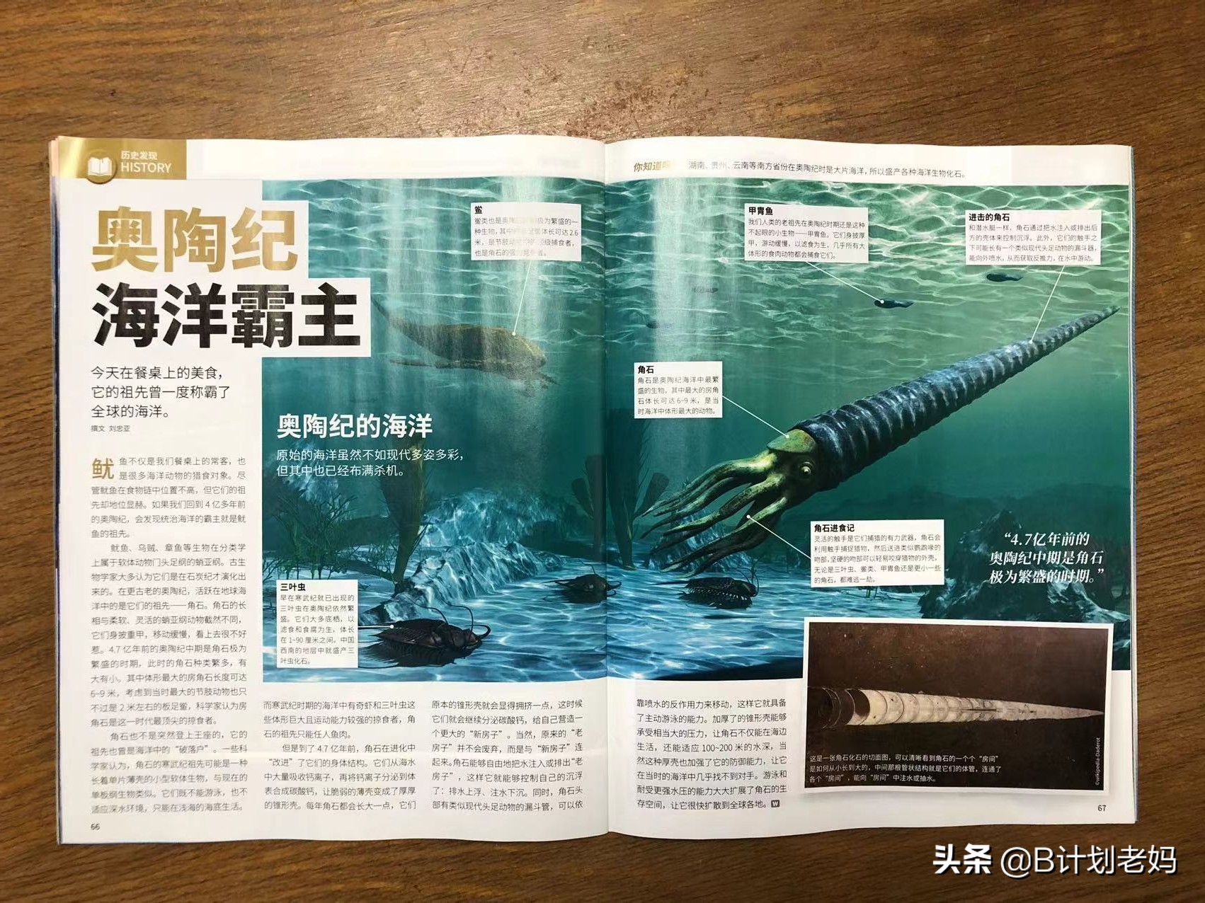 科普杂志万物怎么样,小学必读科普书籍万物的由来