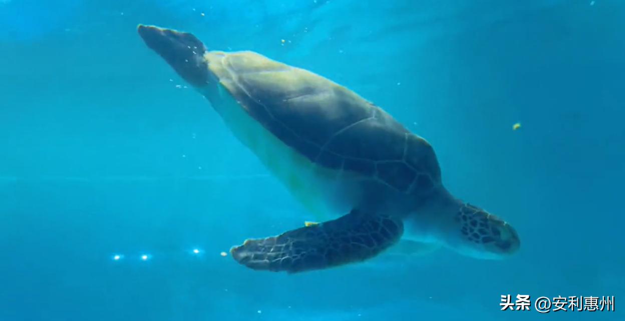 双月湾3天两夜,双月湾晚上去哪个海边玩