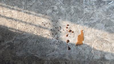 追觅v12s吸尘器测评,追觅M13功能是否包含了v12吸尘器