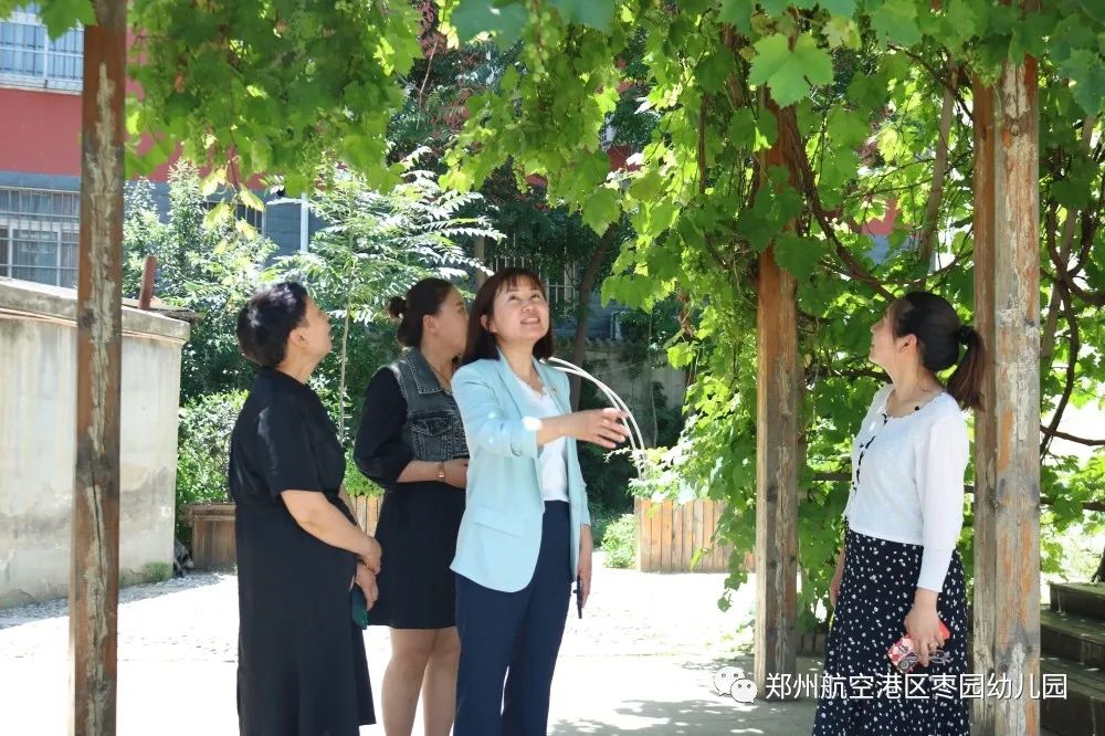 凝心聚力携手前行幼儿园,枣园幼儿园