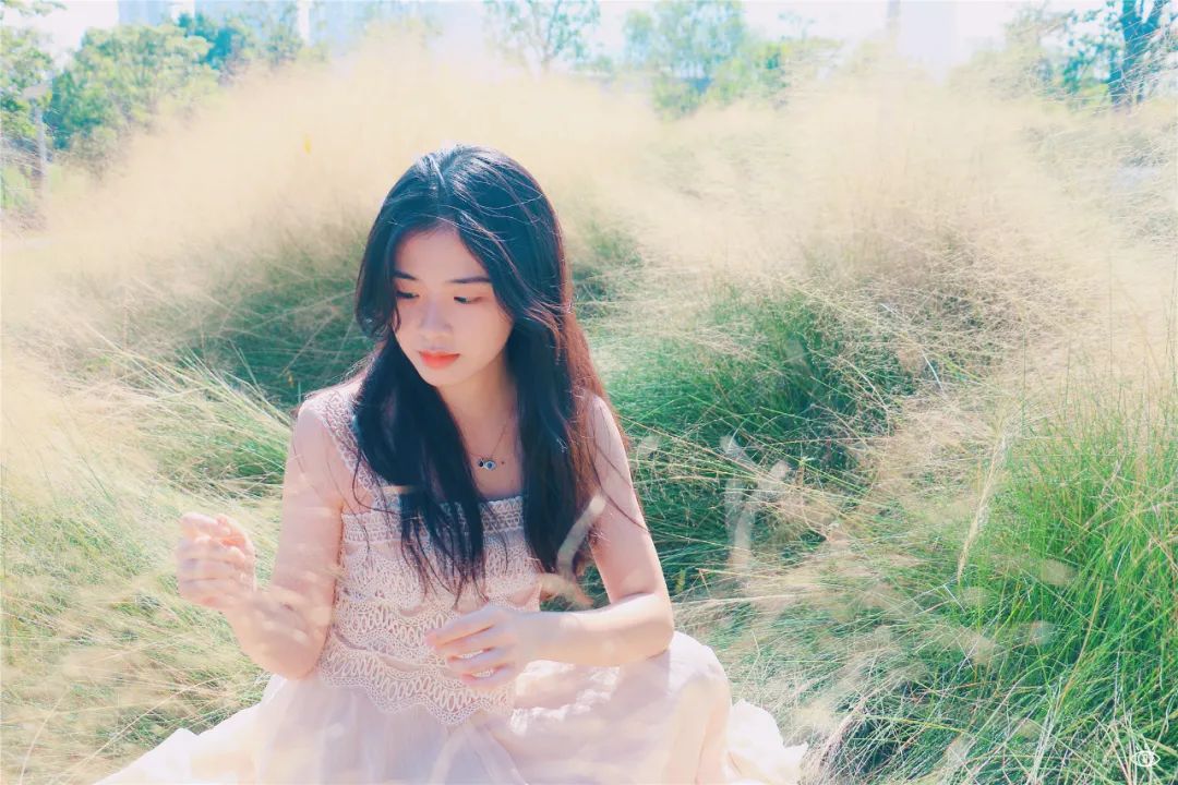 深圳超美公园,深圳好风景公园