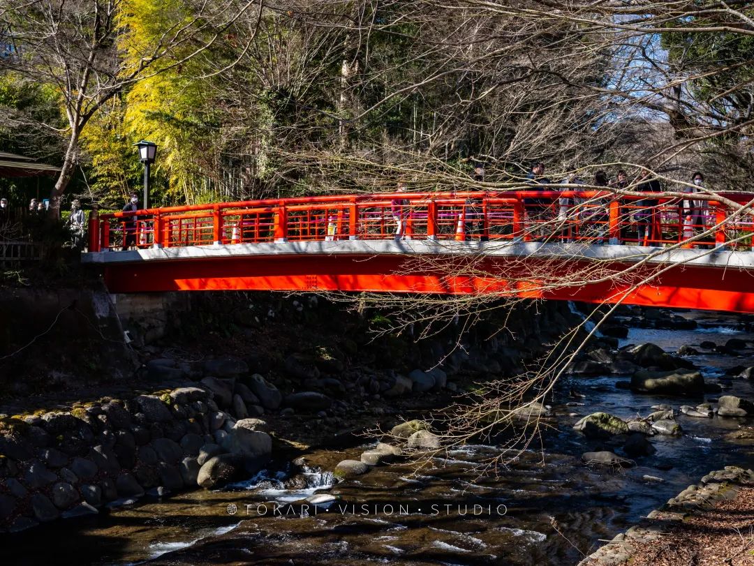 伊豆半岛两日游攻略,日本伊豆跟团旅游攻略