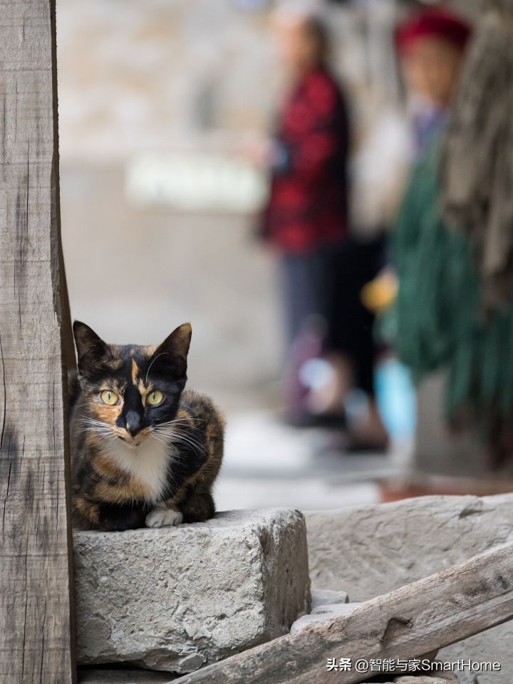 王者归来，它是M4/3的未来式OM-SYSTEMOM-1体验记