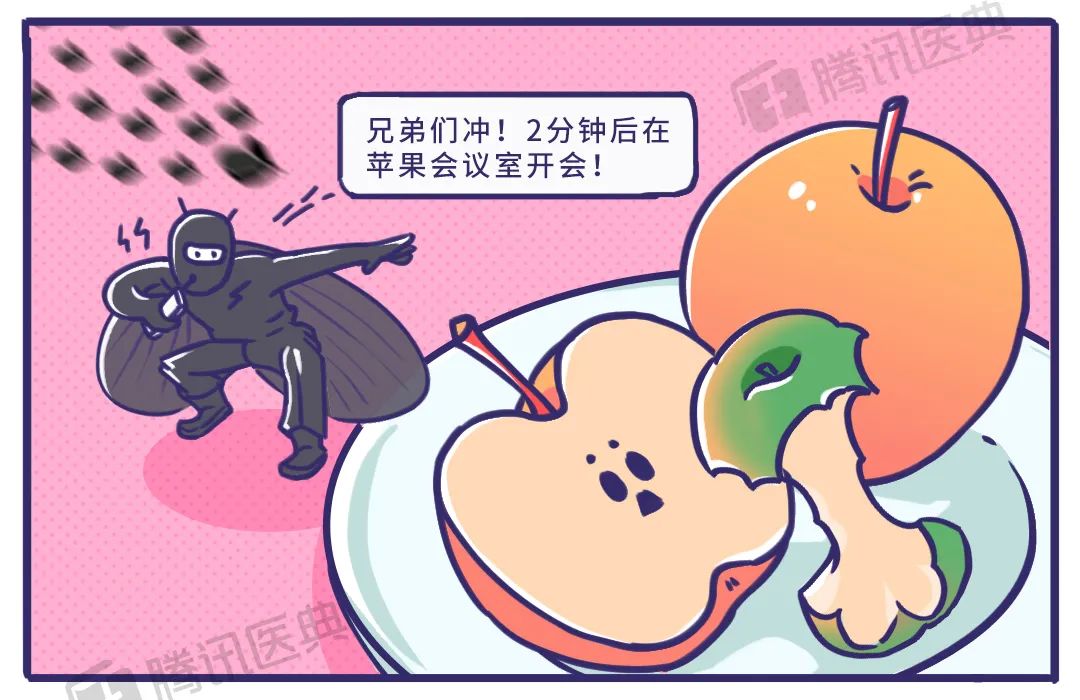 家里有很多黑色小飞虫是什么原因,家里总有黑色小飞虫怎么解决