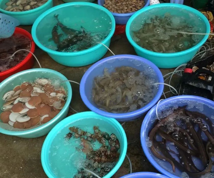 北海涠洲岛上买海鲜怎么避坑,北海涠洲岛有什么好玩的推荐